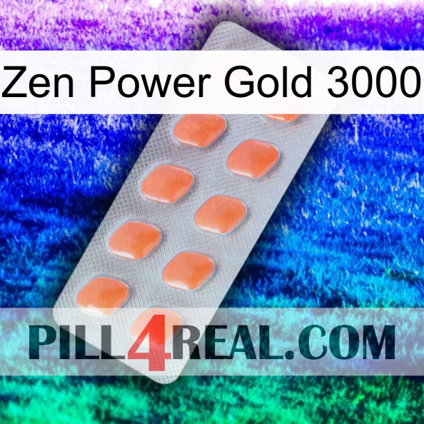 Zen Power Gold 3000 26.jpg